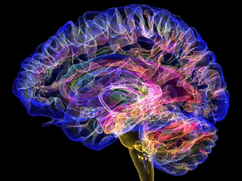 内射爆浆大脑植入物有助于严重头部损伤恢复